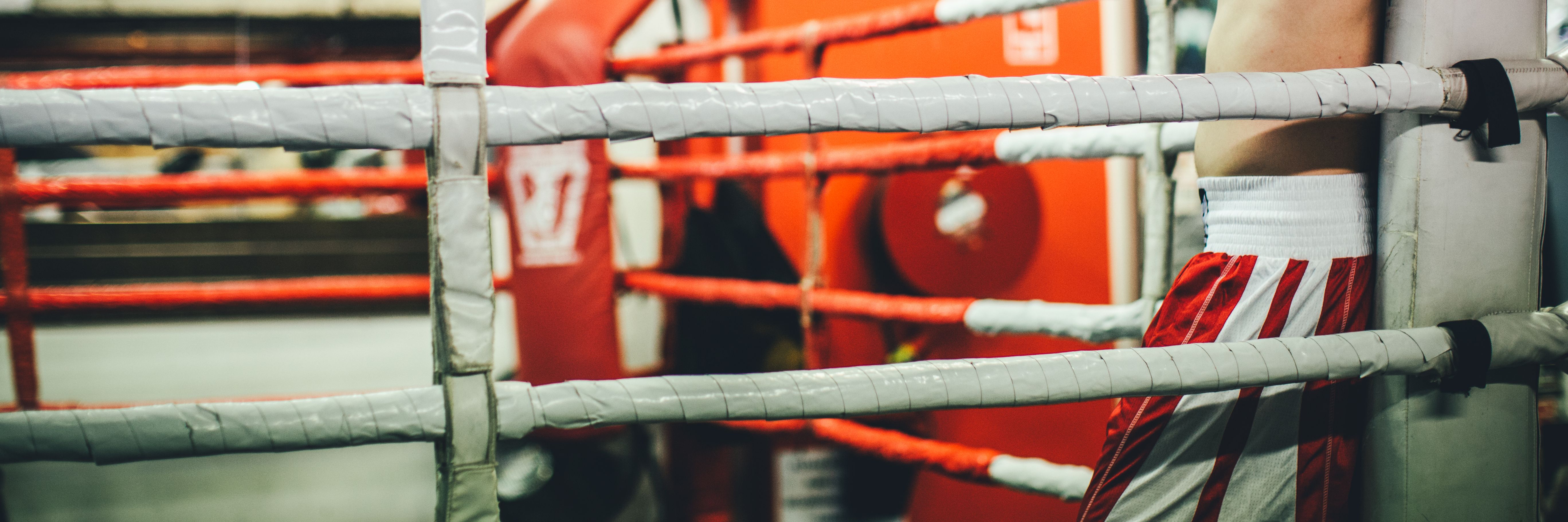 White Collar Boxing & Personal Training