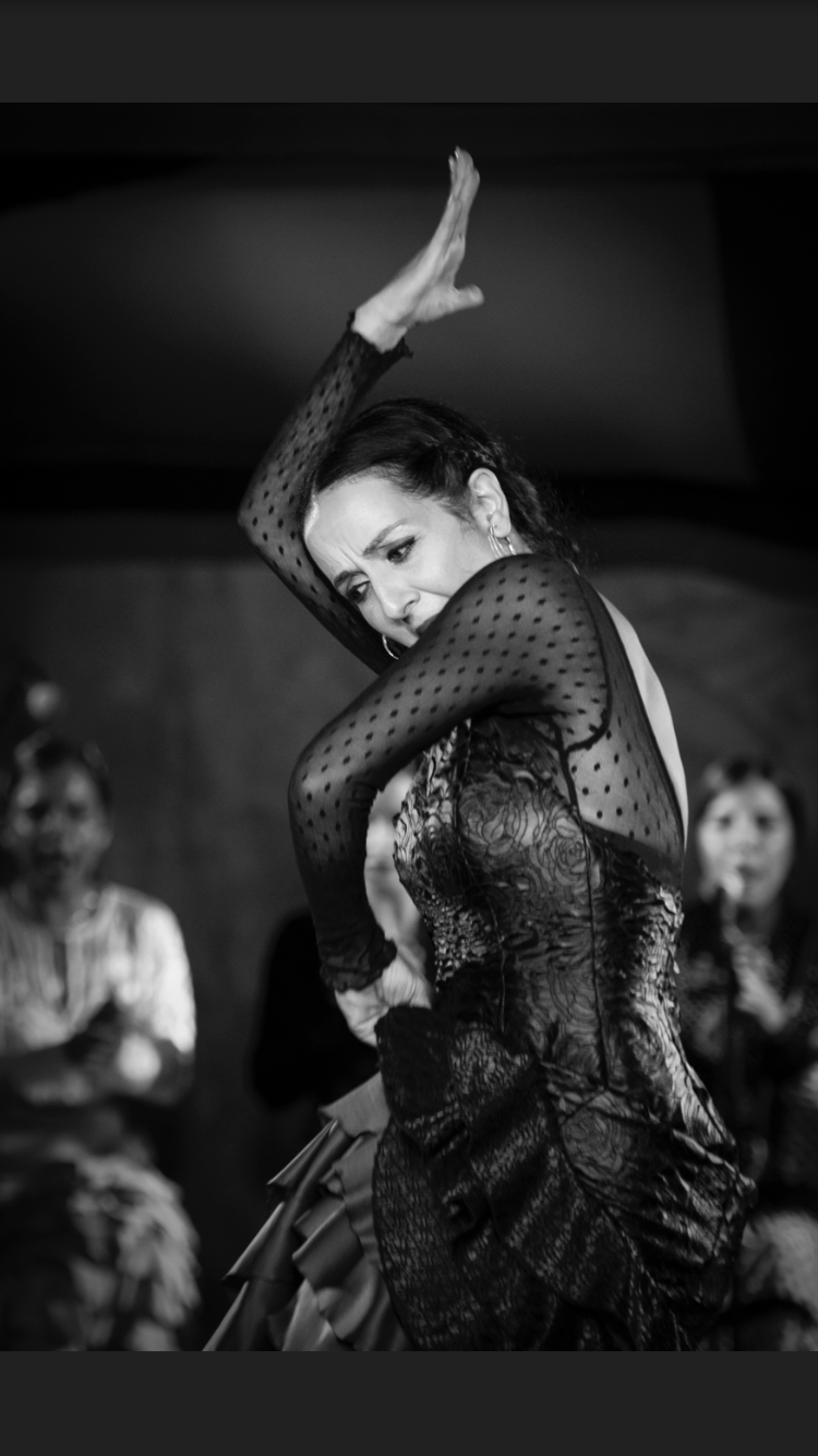 Studio Flamenco