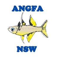 ANGFA NSW Branch