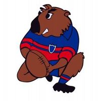 Mudgee Rugby Club Inc.