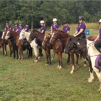 Gordonvale Pony Club