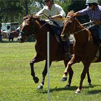 Bucca Horse and Sports Association Inc