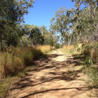 Gladstone District Bushwalkers