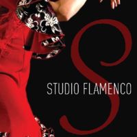 Studio Flamenco