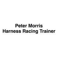 Peter Morris - Harness Racing Trainer