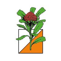 Orienteering NSW
