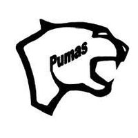 Regents Park Pumas JRLFC 