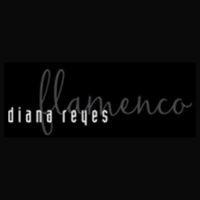 Diana Reyes Flamenco Studio 