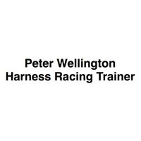 Peter Wellington - Harness Racing Trainer