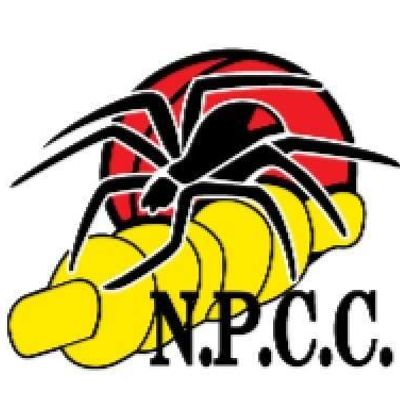 North Pines Cricket Club