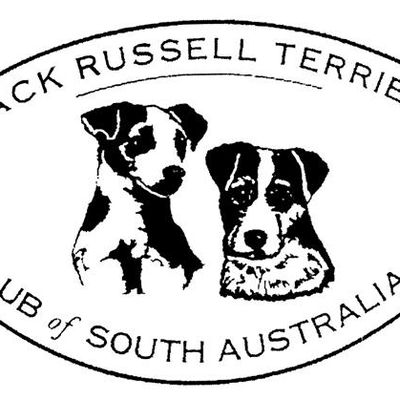 Jack Russell Terrier Club of SA Inc