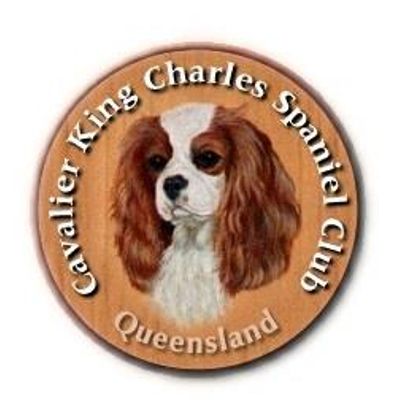 Cavalier King Charles Spaniel Club QLD