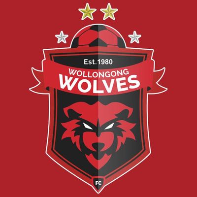 Wollongong Wolves Football Club