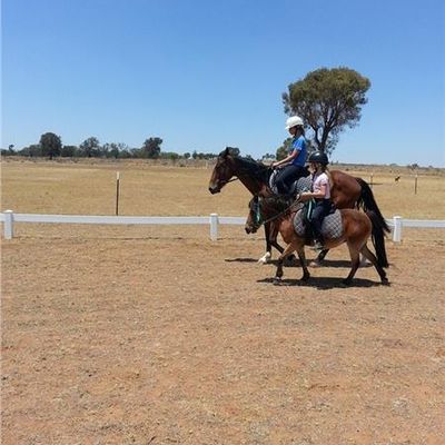 Chittering Gully Stud