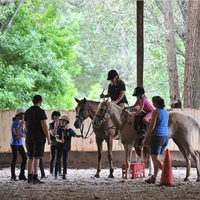Dalson Park Indoor Equestrian Centre