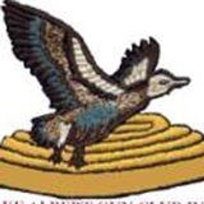 Lake Albert Gun Club