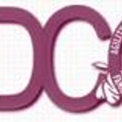 Agility Dog Club Of Queensland