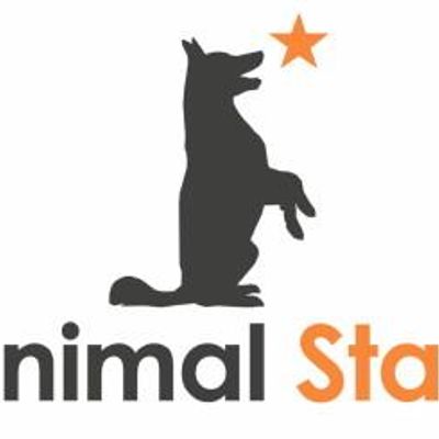 Animal Stars