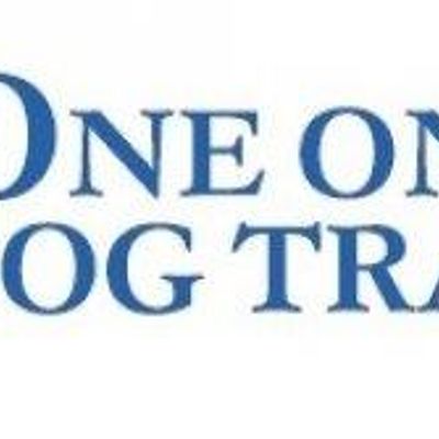 One on One Dog Training