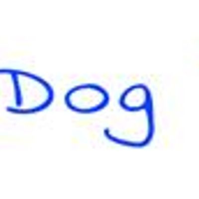 Bendigo Dog Training