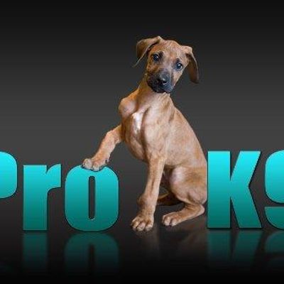 Pro K9