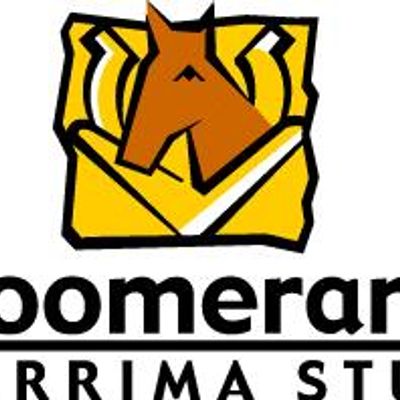 Boomerang Berrima Stud
