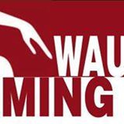 Wauchope Amateur Swim Club