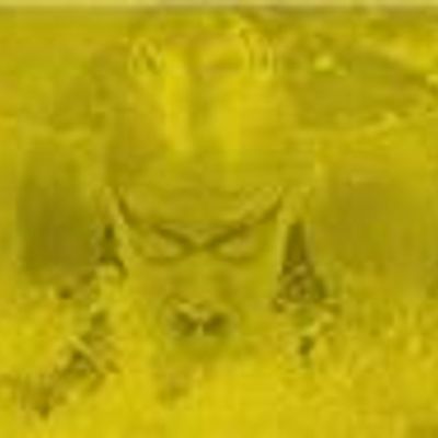 Wagga Wagga Swim Club