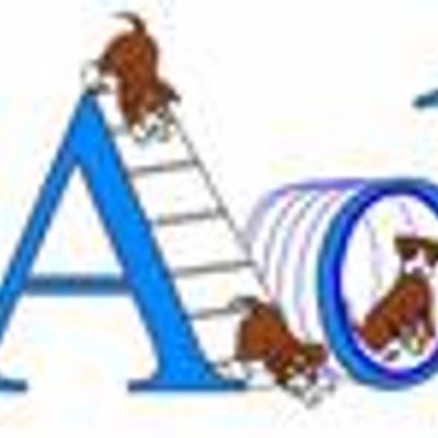 Pine Agility Dog Sports Club