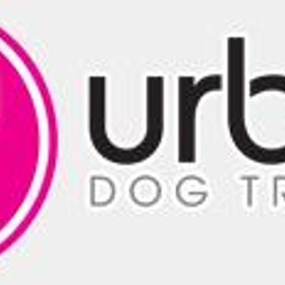 Urban Dog Training