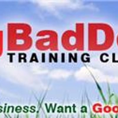 Good Dog Bad Dog