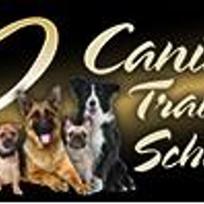 Canine Training School