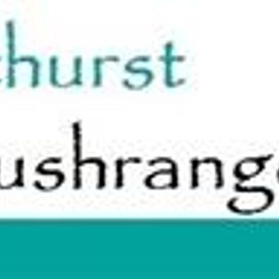 Bathurst Bushrangers Cricket Club