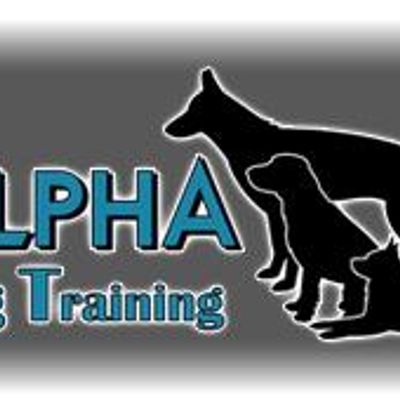 Alpha Dog Training
