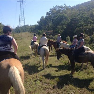 Stoney Creek Farm Stay