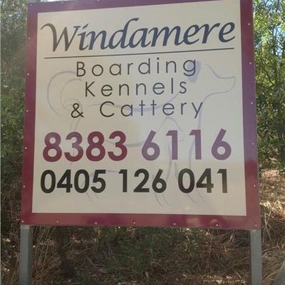 Dr Dog and Windamere Boarding Kennels and Cattery