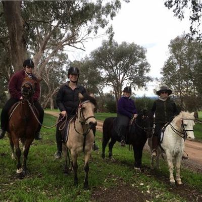 Jane Galbally's Horse Riding Services