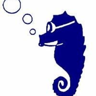 Surrey Park Seahorses Masters Swimming Club