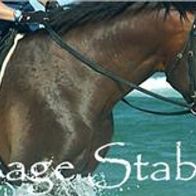 Sally's Dressage Stables