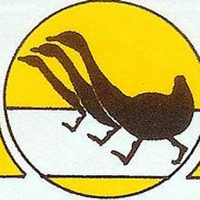 Western Australian Race Walking Club