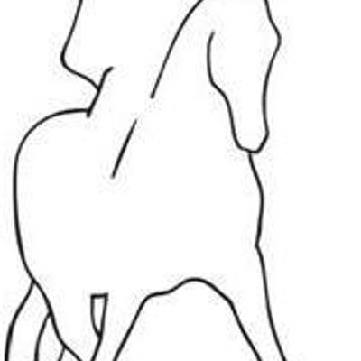 Dressage Club Of SA -