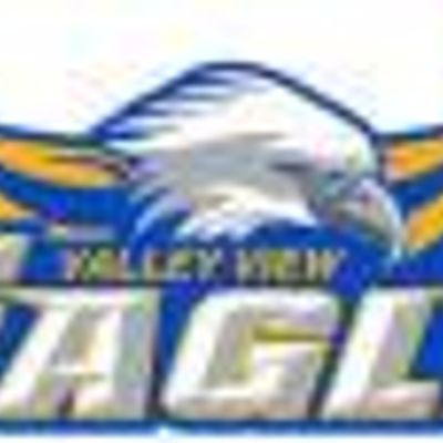 Valley View Eagles Softball Club 