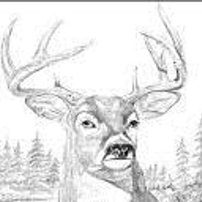 Hastings Valley Hunting Club