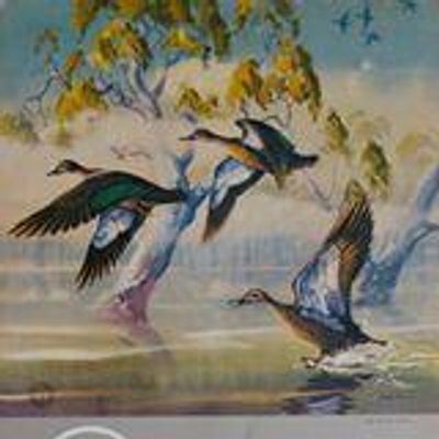 Tumut Clay Target Club Inc