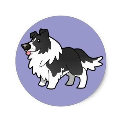 Tasmanian Collie & Shetland Sheepdog Club