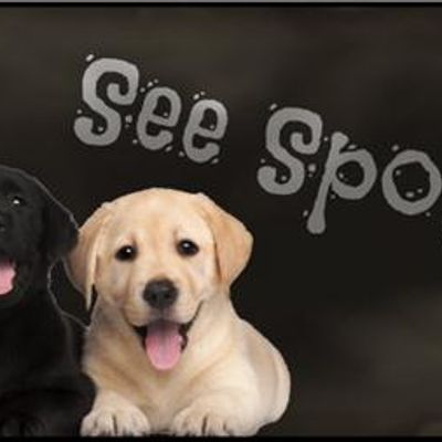 See Spot Sit