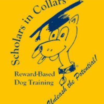Scholars In Collars