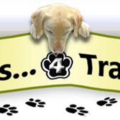 Paws 4 Training