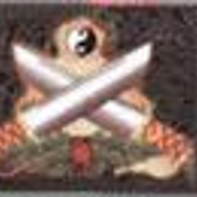 Chris Harvey Wing Chun Kung Fu