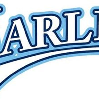 Illawong Baseball Club